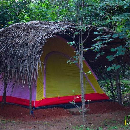 Hotel Sigiri Jungle Camping Sigirija Zewnętrze zdjęcie