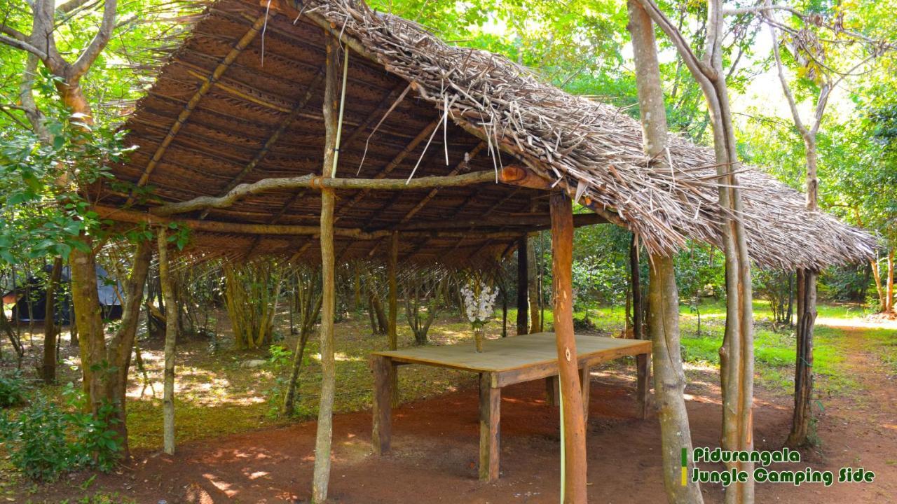 Hotel Sigiri Jungle Camping Sigirija Zewnętrze zdjęcie